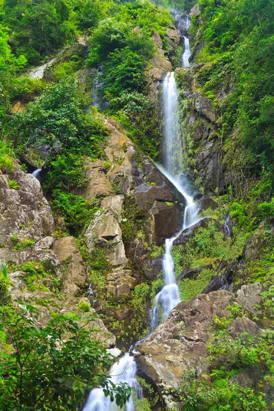 Cascata nella foresta — Foto Stock