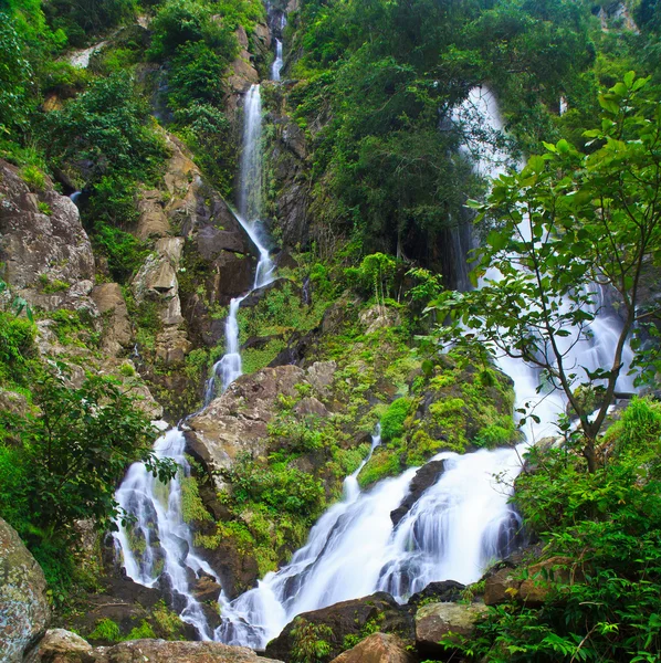 Cascada en el bosque — Foto de Stock