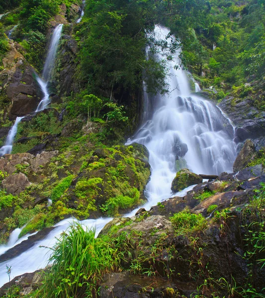 Cascade dans la forêt — Photo