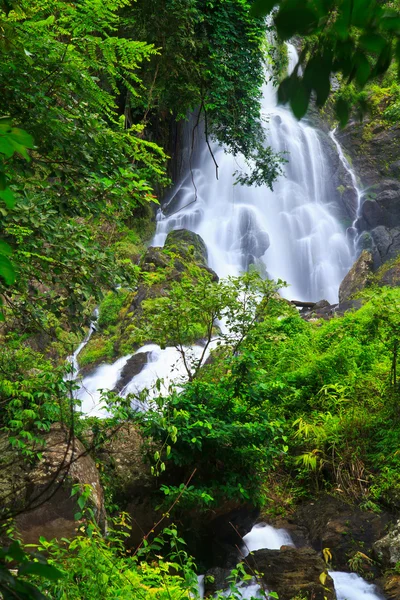 Cascada en el bosque — Foto de Stock