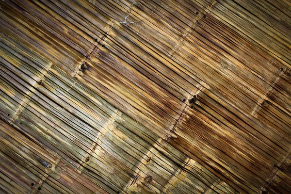 Wood texture — Stock Photo, Image