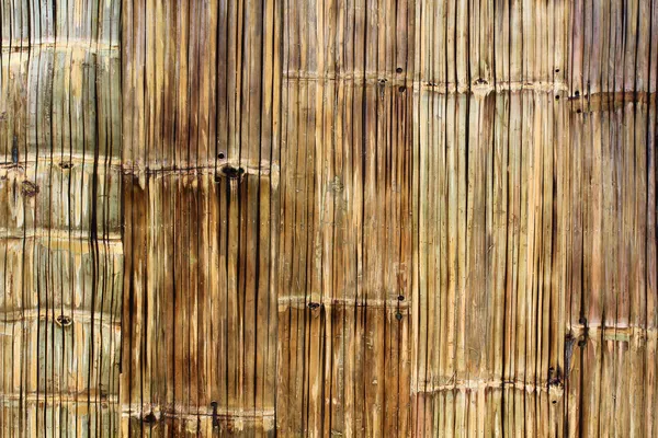 Wood texture — Stock Photo, Image