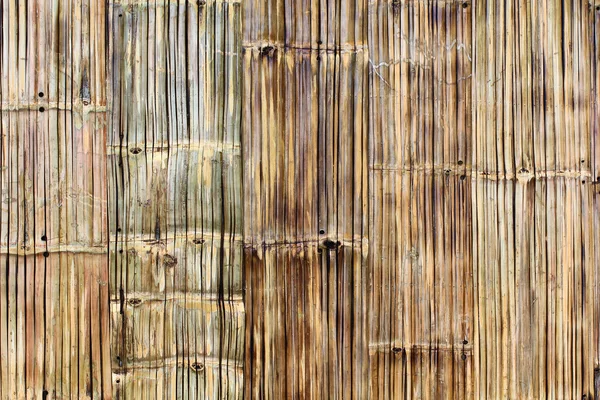 Wood texture — Stock Photo, Image