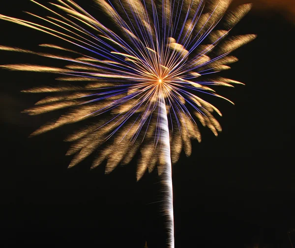 Colorful fireworks — Stock Photo, Image