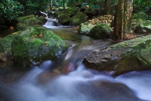 Cascada en el bosque — Foto de Stock