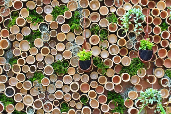 Struttura del legno — Foto Stock