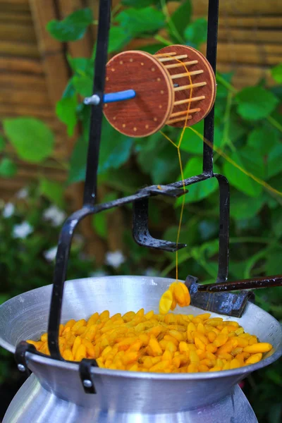 Boiling cocoon in a pot — Stock Photo, Image