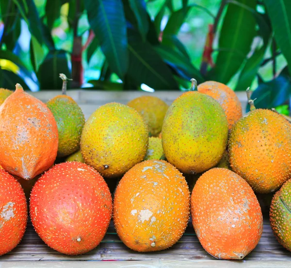 Baby Jackruit — Stock Photo, Image