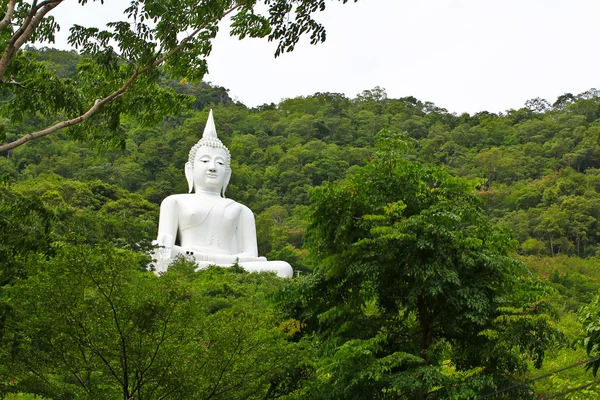 Estátua Buda na floresta — Fotografia de Stock