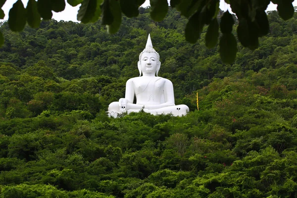 Socha Buddhy v lese — Stock fotografie