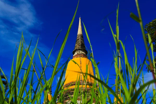 Alter Tempel — Stockfoto