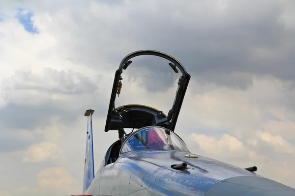 Cerebro de 100 años de la Real Fuerza Aérea Tailandesa (RTAF) ) — Foto de Stock