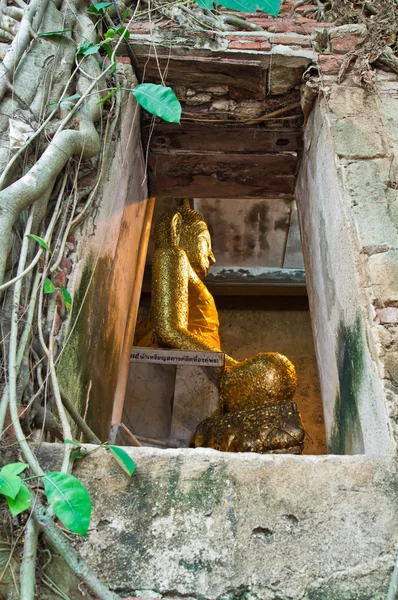 Buddhist church surrounded by tree roots — Stock Photo, Image