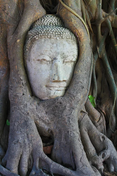 Old Temple — Stock Photo, Image