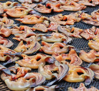 kurutulmuş balıklar