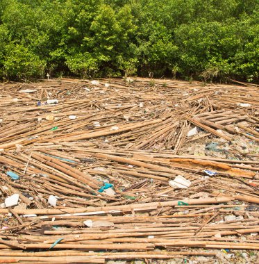 Ormanın içinde çöp