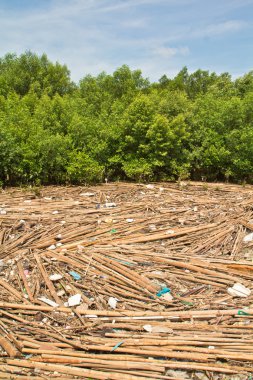 Ormanın içinde çöp