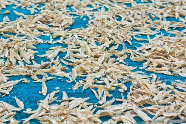 Dried fishes — Stock Photo, Image