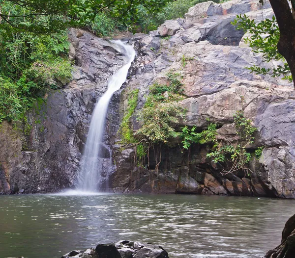 Waterval in het bos — Stockfoto