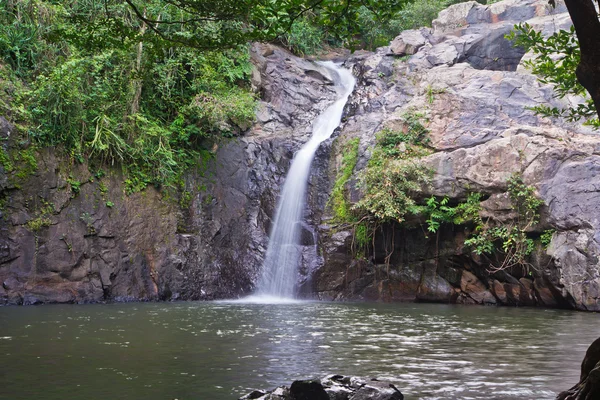 Cascata nella foresta — Foto Stock