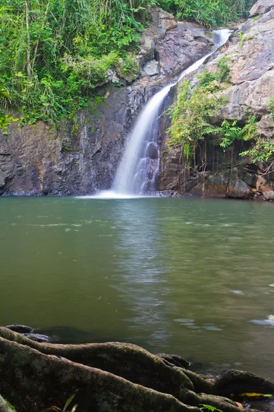 Wasserfall im Wald — Stockfoto