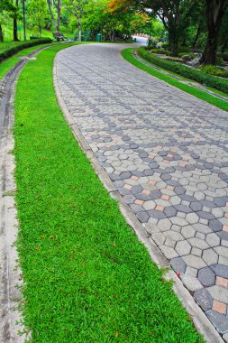 parkın içinden yolları
