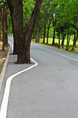 yaya ve bisiklet yolu