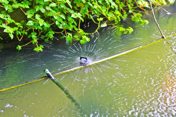 Püskürtme su fıskiye — Stok fotoğraf