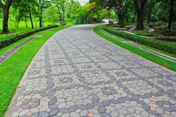 Paths through the park — Stock Photo, Image