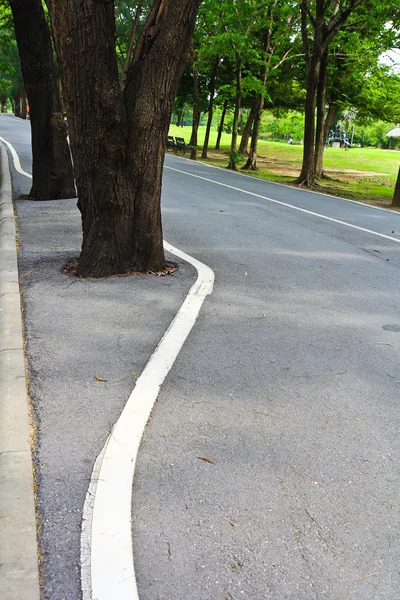 Peatonal y carril bici — Foto de Stock