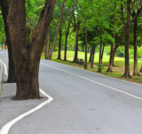 Pedestrian and bicycle path — Stock Photo, Image