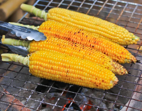 Grilled Corn — Stock Photo, Image