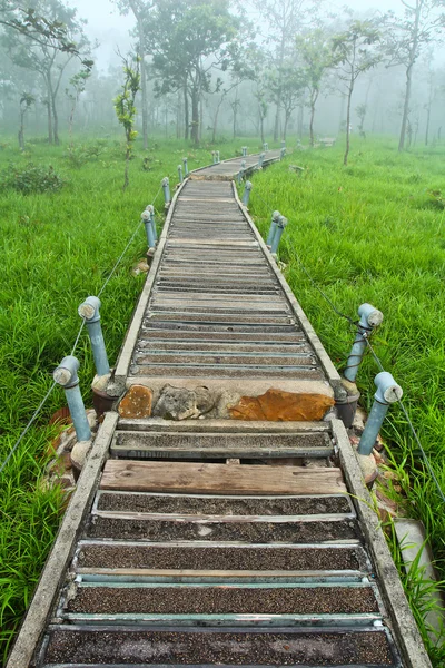 Un paseo por el parque — Foto de Stock