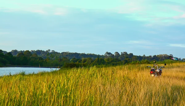 Prairie — Stock Photo, Image