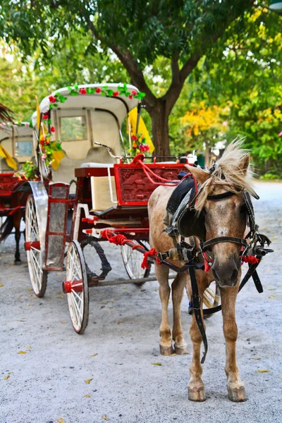 Horse Car — Stock Image Horse Car Stock Picture