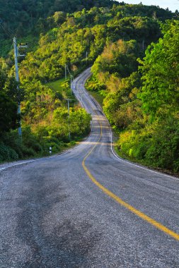 dağ yolundan ve orman