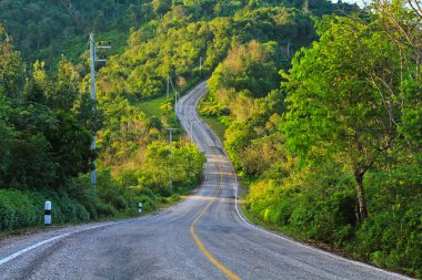 dağ yolundan ve orman