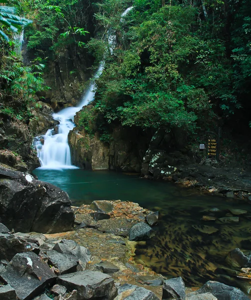 Cachoeiras na floresta — Fotografia de Stock