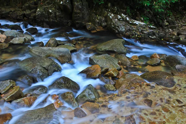 Cascadas en el bosque — Foto de Stock