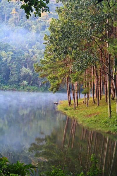 Lago e montanhas — Fotografia de Stock