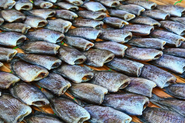 鲜鱼 — 图库照片