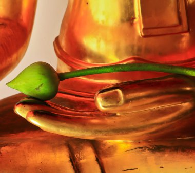 Lotus çiçeği budhha elleri