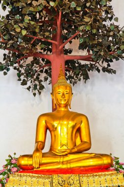 Buda heykeli