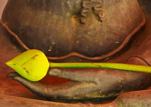 Lotus flower on budhha hands — Stock Photo, Image