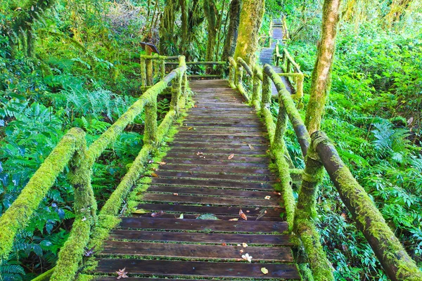 Caminho — Fotografia de Stock