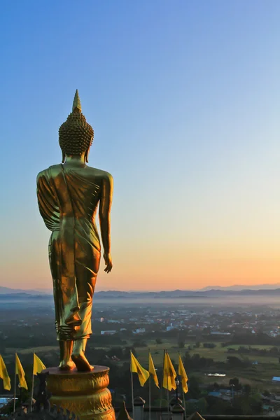 Buddha — Stock Photo, Image