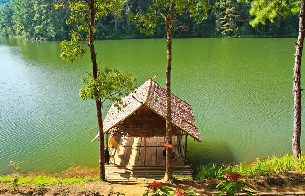 Cais de madeira em enorme lago — Fotografia de Stock