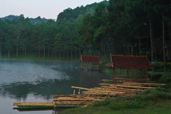 Cais de bambu — Fotografia de Stock