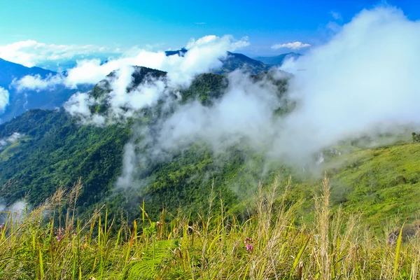 Montagnes dans le brouillard — Photo