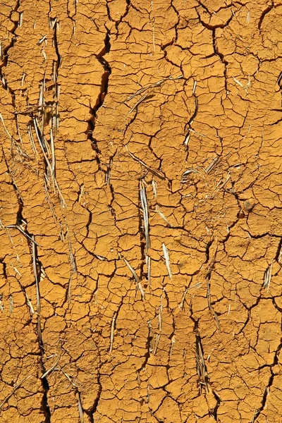 Terreno incrinato — Foto Stock